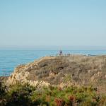 cambriaDR_0044 (November 02, 2019)